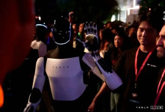 马斯克终极AI计划曝光！人人躺平拿高薪