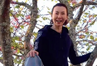 张曼玉放飞自我 “爬树”画面曝光