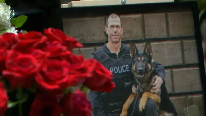 Man who shot, killed Toronto police dog gets 14-year prison sentence |  Globalnews.ca