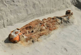 12具遗骸疑遭活人献祭 专家：极不寻常