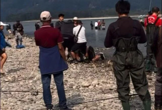 大温河边一群人打起来了 因为钓鲑鱼起争执