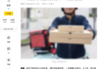 公职人员的“退路”是送外卖，那外卖员的退路呢?