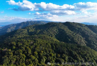 云南哀牢山新规出台：禁止任何单位擅入哀牢山