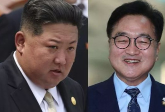 两韩和解？金正恩、南韩国会议长阅兵"握手寒暄"