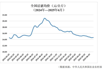 中国猪王:河南夫妻养猪 出圈成顶流