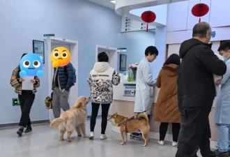 新型“销金窟”，捞了中国人3000亿？