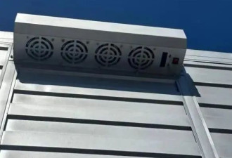 参加阅兵的8万只鸽子都是"借"的?气球都去哪儿了?