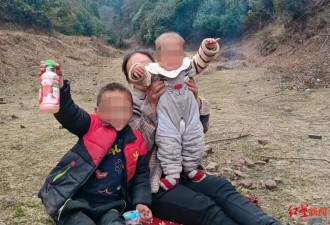 两儿童遭蜂群蜇伤身亡 养蜂人涉过失致死被立案！