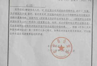 两儿童遭蜂群蜇伤身亡 养蜂人涉过失致死被立案！