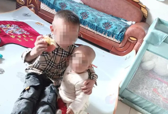 两儿童遭蜂群蜇伤身亡 养蜂人涉过失致死被立案！