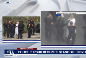 美国女“全裸开车逃亡”被大批警车包围对峙4小时