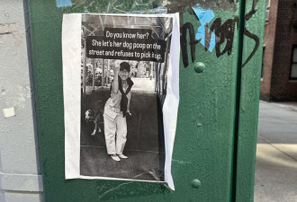 纽约女子多次拒清狗便 邻居做海报让她臭名远扬