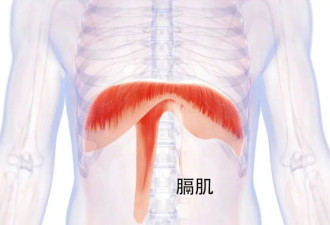 学会用“肚脐呼吸” 好处不请自来