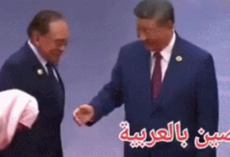 网络疯传 她拒绝握手 习近平傻了