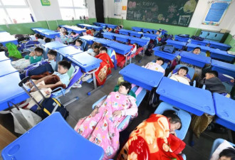 让中小学生午休“躺睡”，居然出了国家标准？