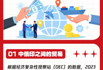 中国、俄罗斯和印度之间的贸易是怎样的？都在买啥？