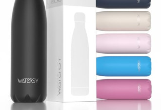 8.5折，WATERSY Stainless Steel water bottles,17oz/500ml