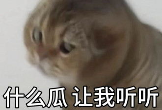 留学专业“太奇葩”，入境时被海关老大哥嘲讽了