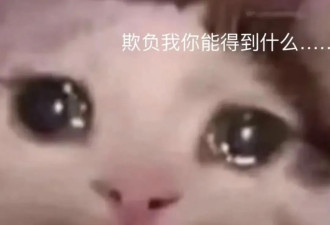 留学专业“太奇葩”，入境时被海关老大哥嘲讽了