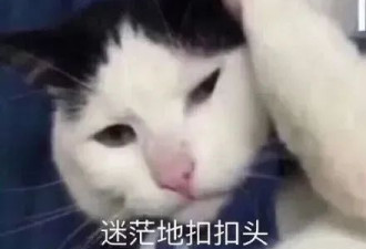 留学专业“太奇葩”，入境时被海关老大哥嘲讽了