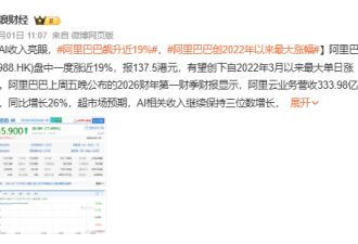 一夜大涨3400亿 马云造芯豪赌 成功了