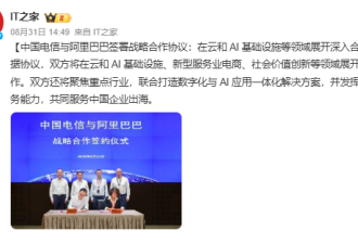 一夜大涨3400亿 马云造芯豪赌 成功了