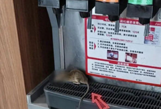 魏家凉皮被顾客“联手做局”？警方通报
