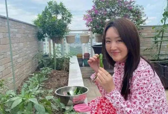 53岁杨钰莹现状：和母亲定居深圳，在豪宅种菜