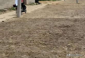新学期到了，姜萍和家人现状被曝