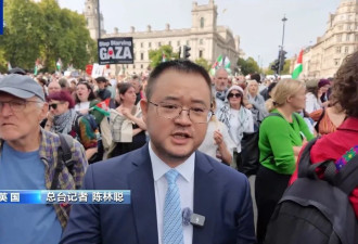 伦敦举行支持巴勒斯坦游行,警方大规模抓捕参与者
