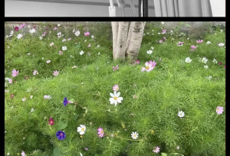 当一位医学生确诊癌症