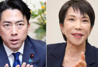 “后石破茂时代”：小泉进次郎VS高市早苗...