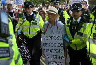 英国支持巴勒斯坦行动组织集会 有400多人被捕