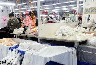美国邮政新关税 88个国家和运营商暂停服务