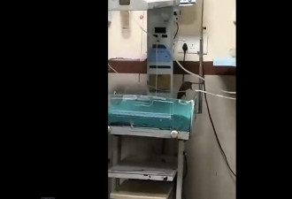 印度大公立医院现鼠患 2初生婴遭咬伤后死亡