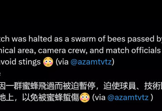 足球踢到一半 全体球员突趴地不动 原因意想不到…