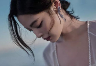 辛芷蕾威尼斯封后，评论区两极分化吵翻了