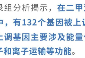 延寿20年，二甲双胍太“神”了