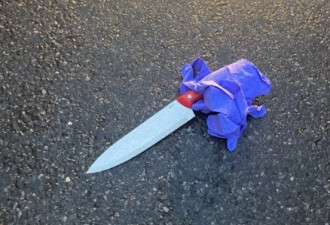 男子持刀闯入纽约一警局，遭击毙