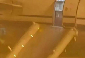 “以为是厕所”误拉舱门 旅客首飞酿祸