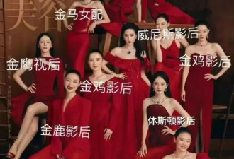 辛芷蕾拿影后！VOGUE主编评论区沦陷，C位不该刘亦菲？