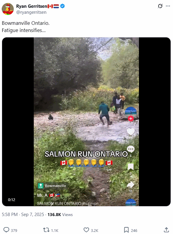 辣眼! 安省一伙新移民"暴力"捕捞三文鱼! 两男子已被罚$2500!