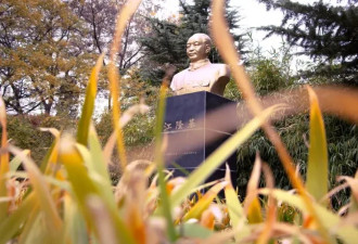 “最委屈的985”，将中国光伏送上全球第一