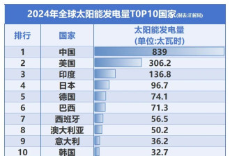 “最委屈的985”，将中国光伏送上全球第一