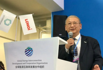 “最委屈的985”，将中国光伏送上全球第一