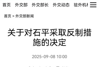 石平是谁,为什么被中国外交部制裁?欠中国三笔债
