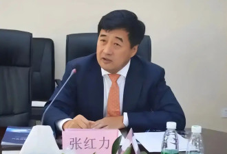 中金高管确认失联！退休后曾卷入“桃色事件”