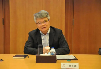 靴子落地！“老虎”林景臻被查，今年因年龄辞职