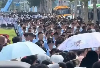山东一中学初一招了94个班近5000人，多方回应