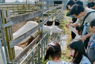 乡愁、生意与踩雷：在海外购地种田的中国人